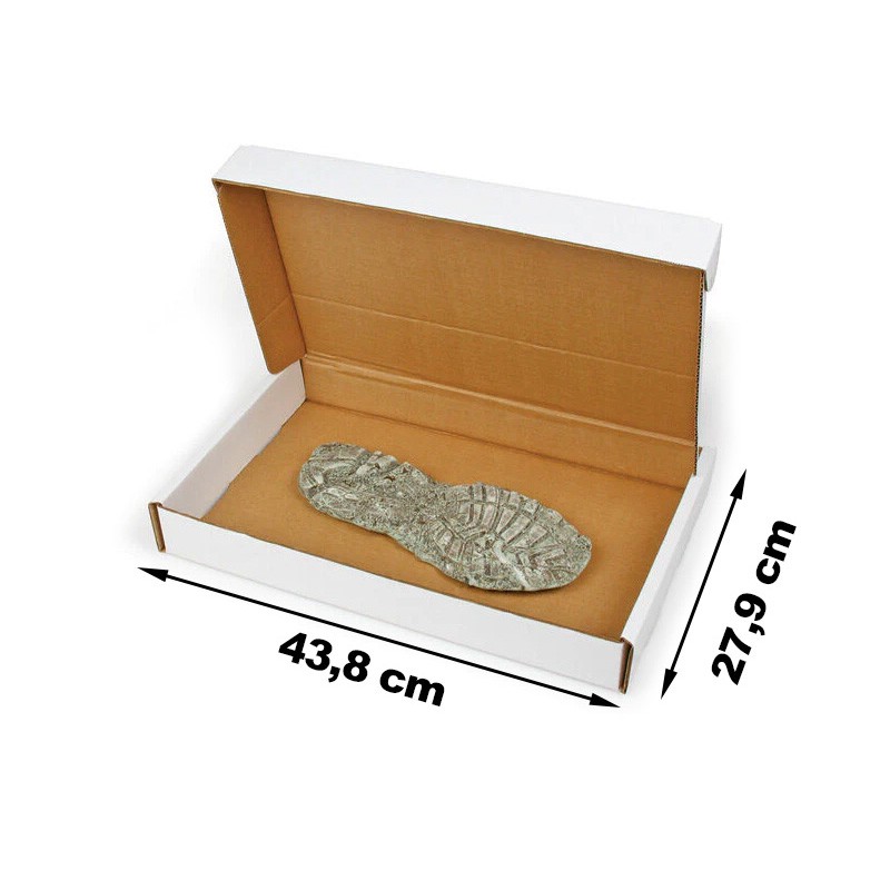 Lightning Powder® Evidence Boxes for Footprints / Dustprints