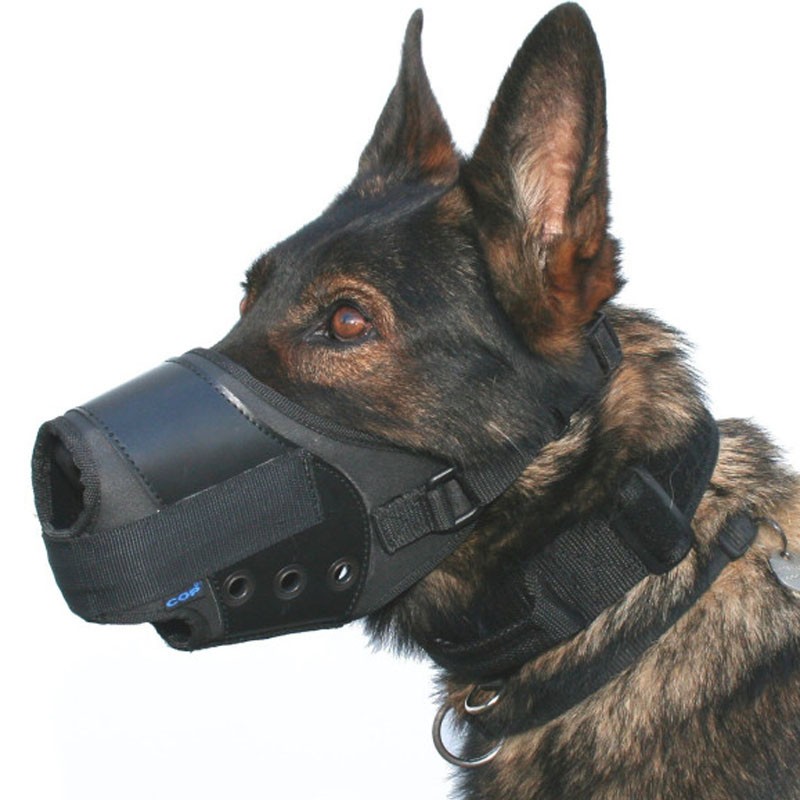 Equipment for K9 (dog) units